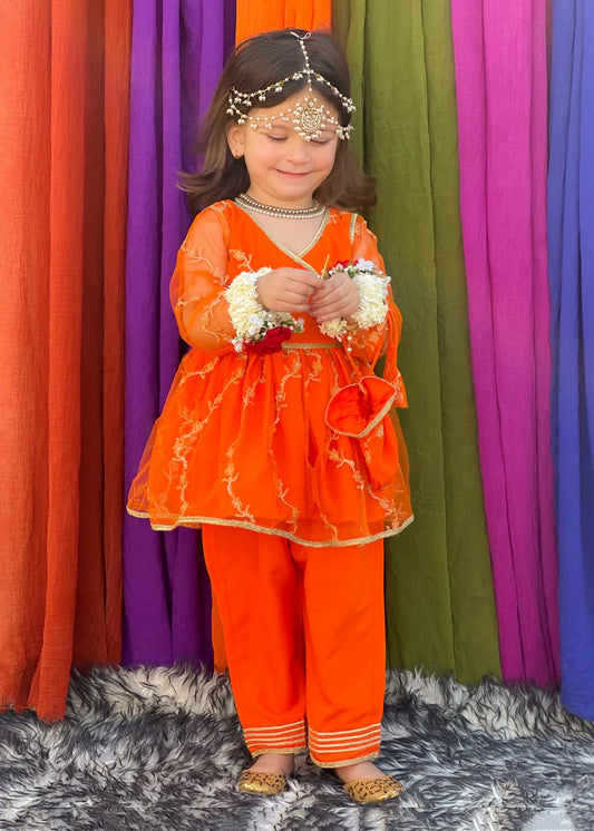 Picture of Modest - Girls Embroidered Net 3 Piece Suit - Available at Raja Sahib