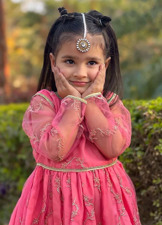 Picture of Modest - 3 Piece Net Embroidered Suit - Available at Raja Sahib