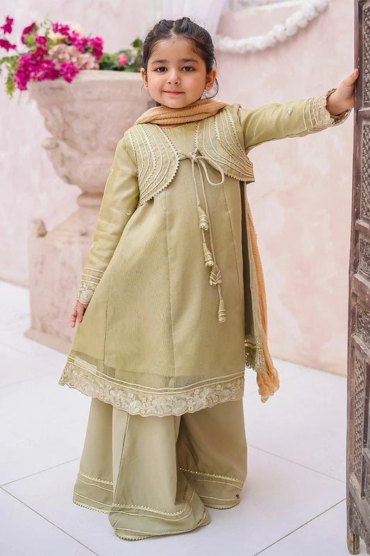 Picture of Modest - Maysuri Embroidered Gharara - 3 Piece - Available at Raja Sahib