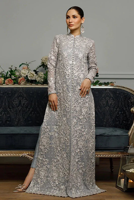 Picture of Threads & Motifs - Net Embroidered Dress - 5532.2 - Available at Raja Sahib