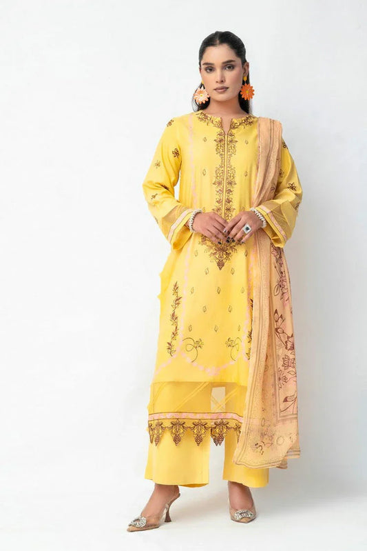 Picture of Ambers Eliana - Ava Winter Karandi Collection - AEKC-UF-16 - Available at Raja Sahib