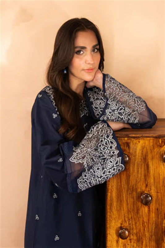 Picture of Amani - Zarqash Co-Ords - Ilana - ZA-1108 - Available at Raja Sahib