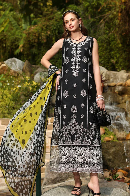 Picture of Noor by Saadia Asad - Noor Luxe Chikenkari Collection - Design 3B - Unstitched - Available at Raja Sahib