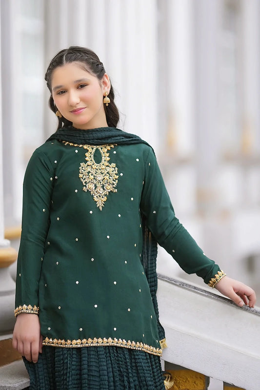 Fairy Queen - Bano Wedding Collection - 3 Piece - Fasana