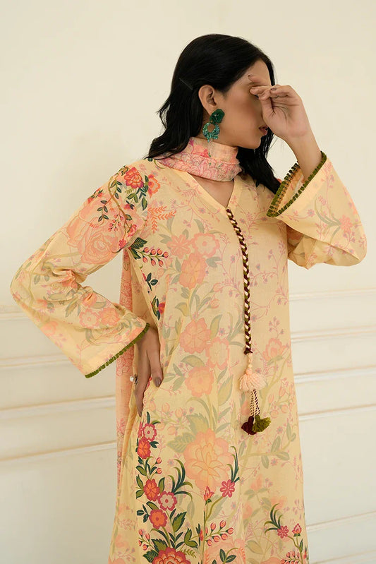 Picture of Tasneem Shamim - Fusion Waves - 2 Piece - Nooraya - Available at Raja Sahib