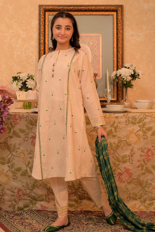 Picture of GBD-02942 | Fawn & Multicolor | Casual Plus 3 Piece Suit | Cotton Jacquard - Available at Raja Sahib