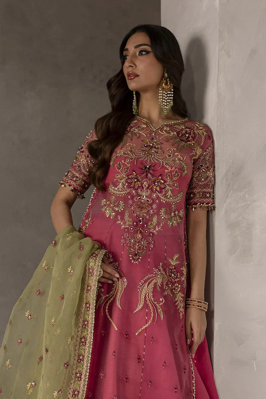 Imran Ramzan - Elysee - Orchidee Rosee