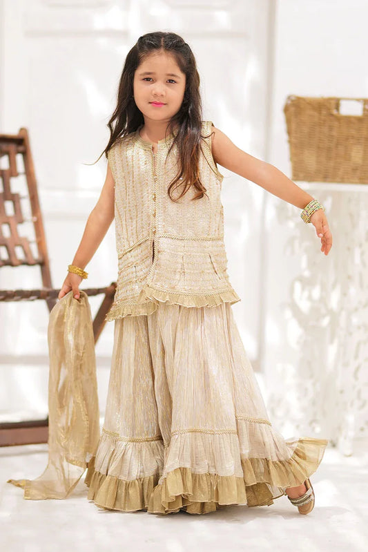 Picture of KDD-02734 | Fawn & Gold | Formal 3 Piece Suit | Banarsi Shimmer & Organza tissue - Available at Raja Sahib