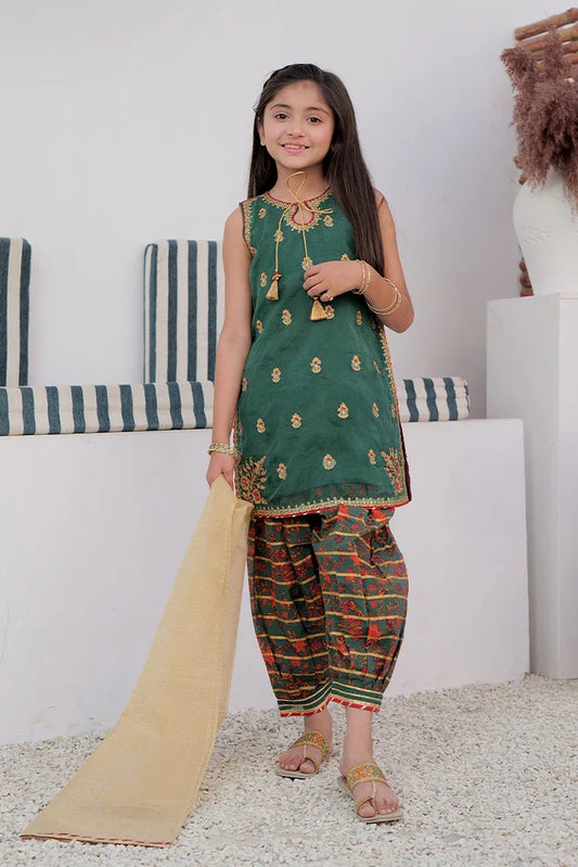 Picture of Kids formal clothes | Green & Multicolor | Formal 3 Piece Suit | Cotton Digital Print By Organza | KDD-02995 - Available at Raja Sahib