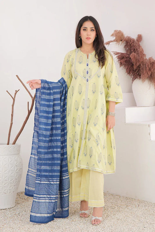 Picture of LBD-02905 | Perrot Green & Multicolor | Casual Plus 3 Piece Suit | Cotton Jacquard - Available at Raja Sahib