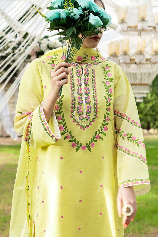 Tasneem Shamim - Hand Embellished Metallique Organza - Ophira