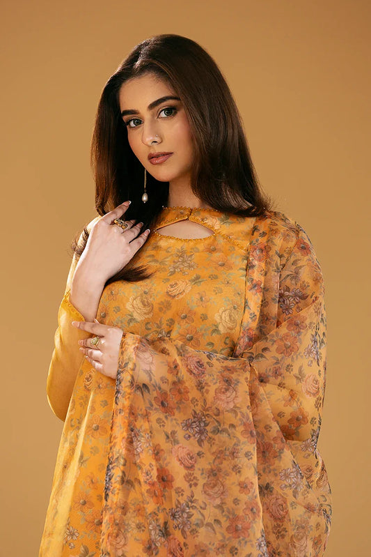 Picture of Amber Imran - Noore Eid Edition 2025 - Raaz-e-Hayat - Available at Raja Sahib