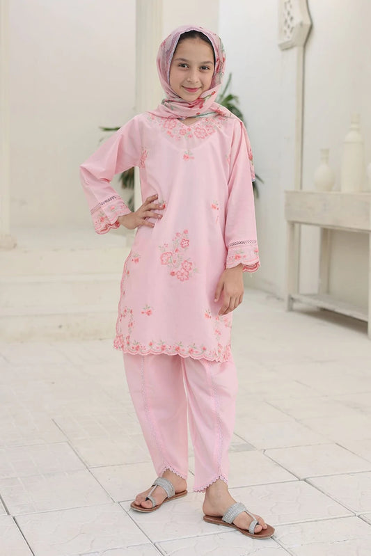 Suntex Fabrics - 3 Piece Embroidered Lawn Suit - Blush Pink