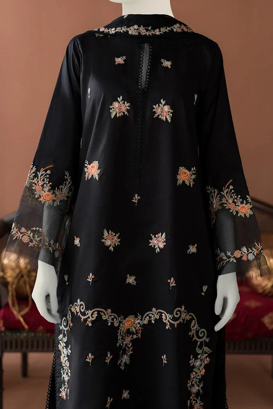 Picture of Zaira & Mahnoor - 3 PC - Eva - Available at Raja Sahib