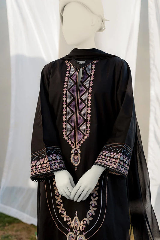 Picture of Zaira & Mahnoor - Nura - 2 PC - Available at Raja Sahib