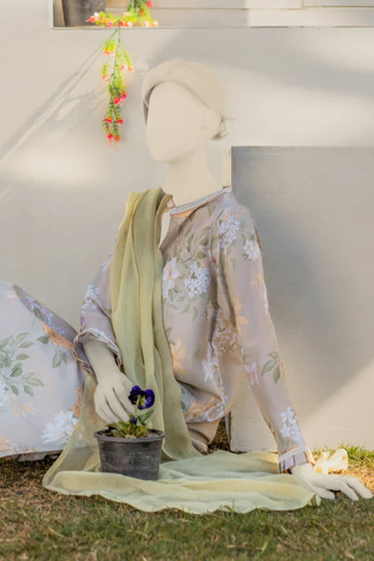 Picture of Zaira & Mahnoor - Olive - 2 PC - Available at Raja Sahib