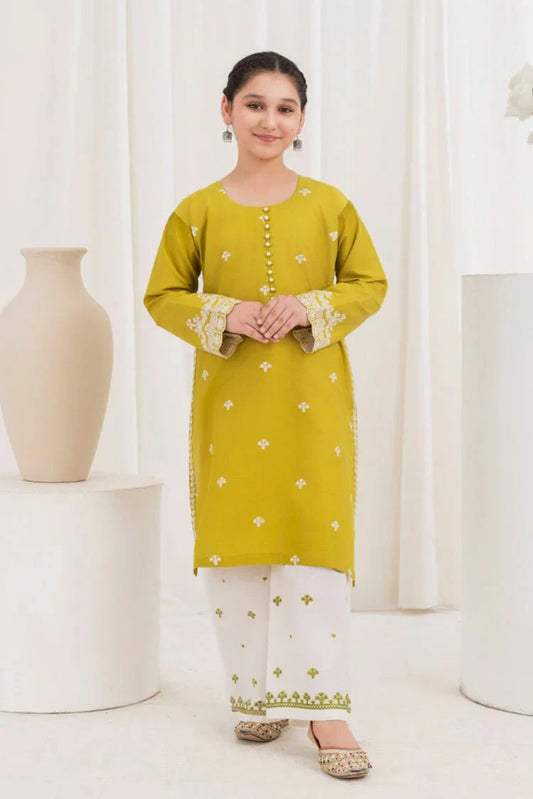 Picture of Khayat - 2 Piece - Parrot - Available at Raja Sahib