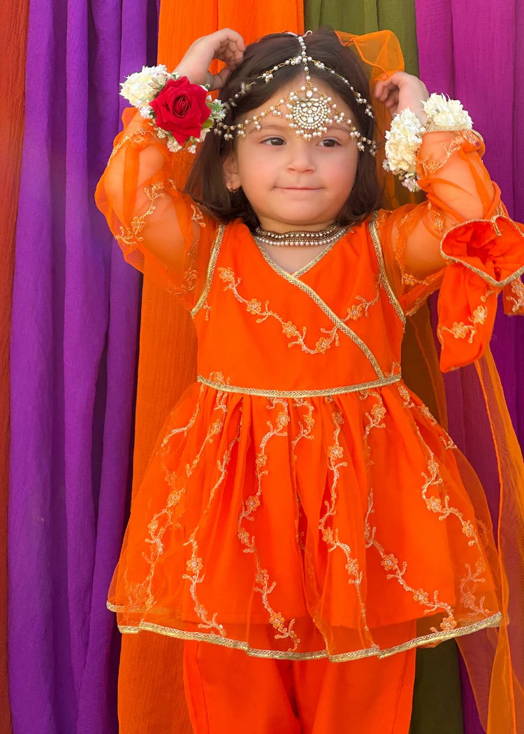 Picture of Modest - Girls Embroidered Net 3 Piece Suit - Available at Raja Sahib