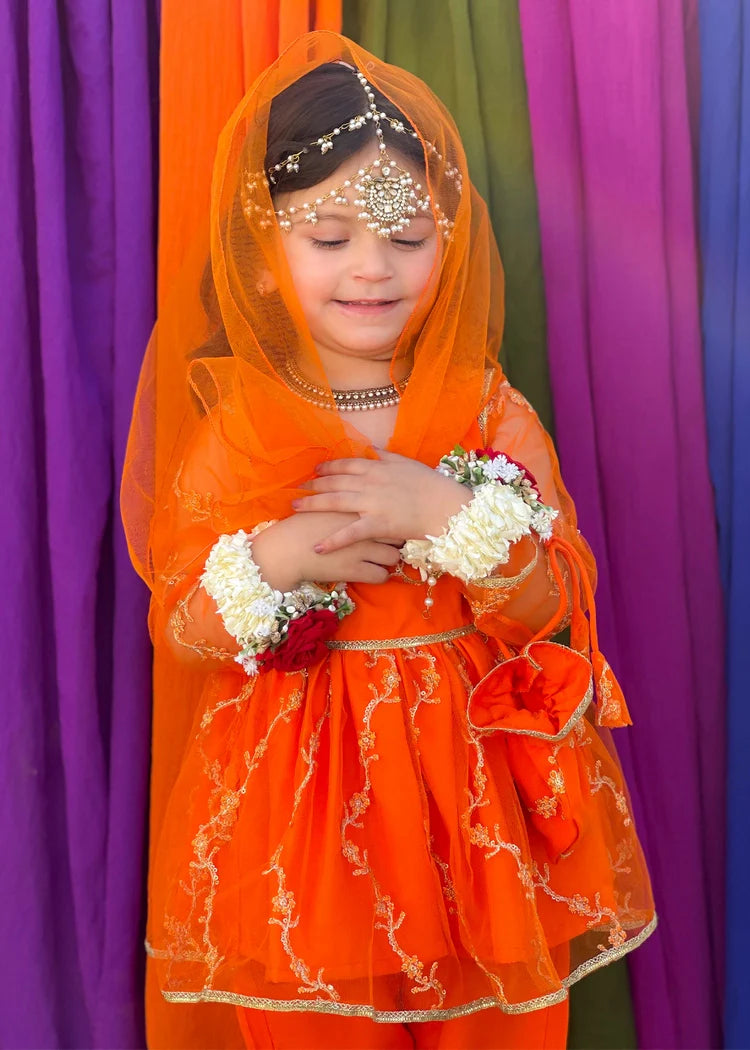 Picture of Modest - Girls Embroidered Net 3 Piece Suit - Available at Raja Sahib