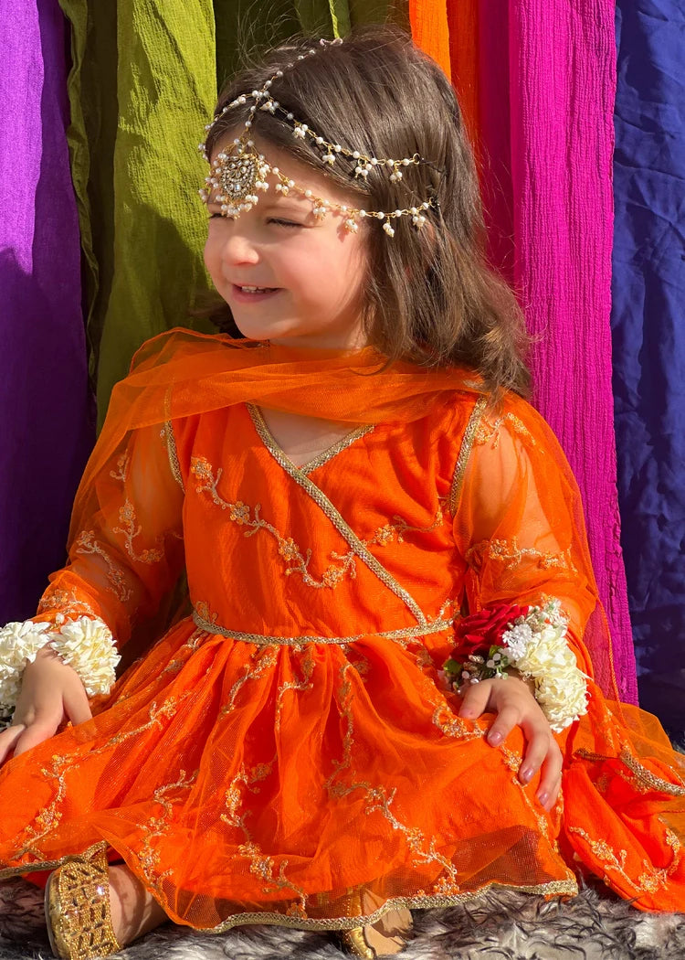 Picture of Modest - Girls Embroidered Net 3 Piece Suit - Available at Raja Sahib