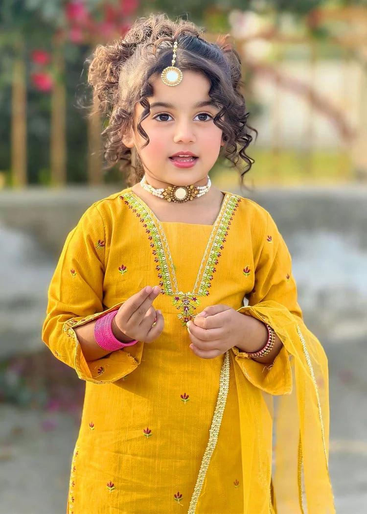 Picture of Modest - 3 Piece Embroidered Khaddar Dress - Available at Raja Sahib