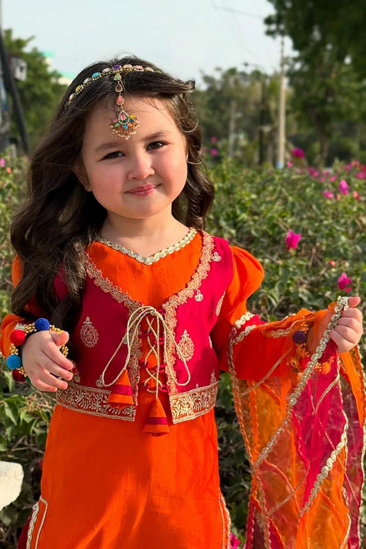 Picture of Modest - Toddler Orange Festive Dress - Available at Raja Sahib