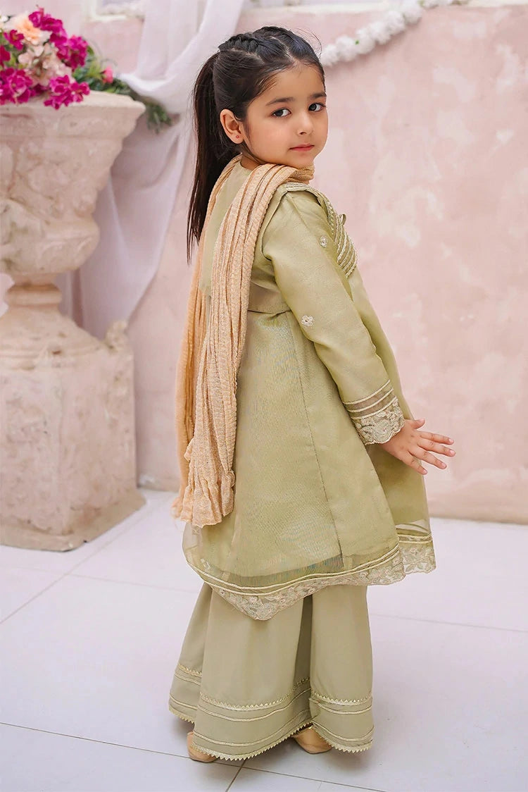 Picture of Modest - Maysuri Embroidered Gharara - 3 Piece - Available at Raja Sahib