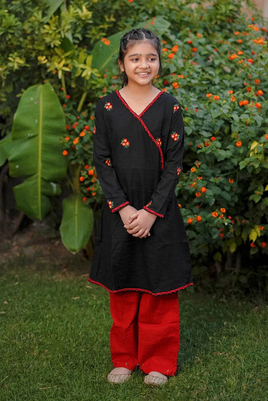 Picture of Abar - Spring Collection - 2 Piece - Elegant Fusion - Available at Raja Sahib