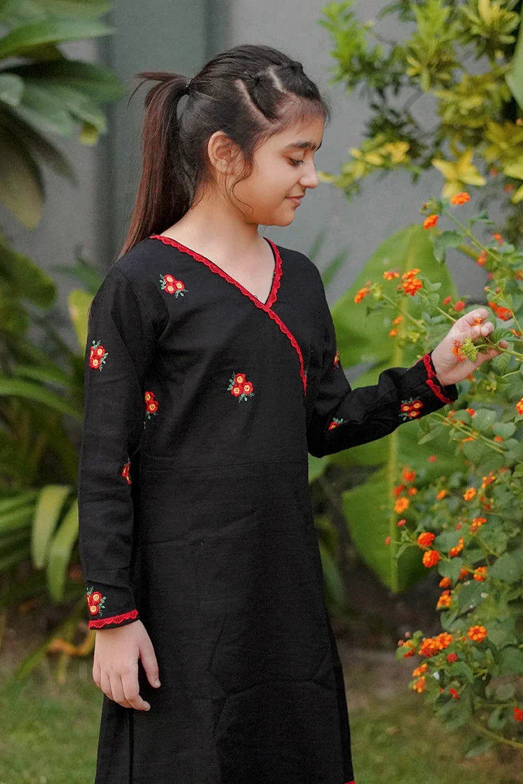 Picture of Abar - Spring Collection - 2 Piece - Elegant Fusion - Available at Raja Sahib