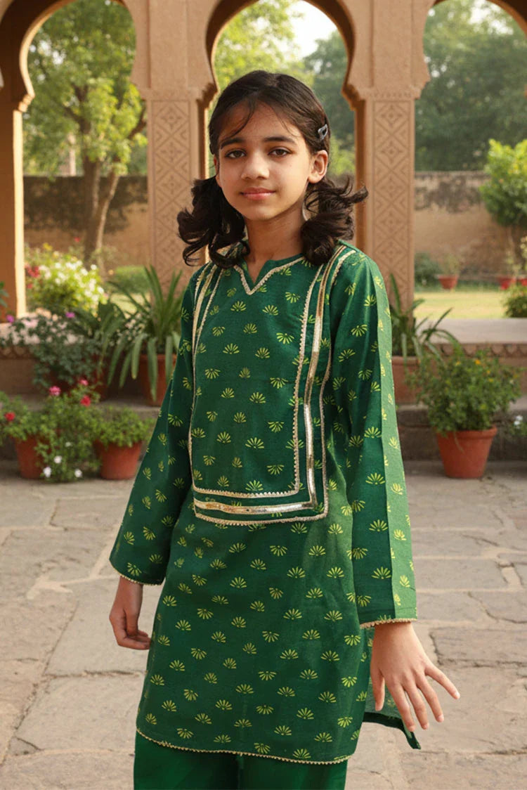 Picture of Abar - Spring Collection - 2 Piece - Emerald Elegence - Available at Raja Sahib