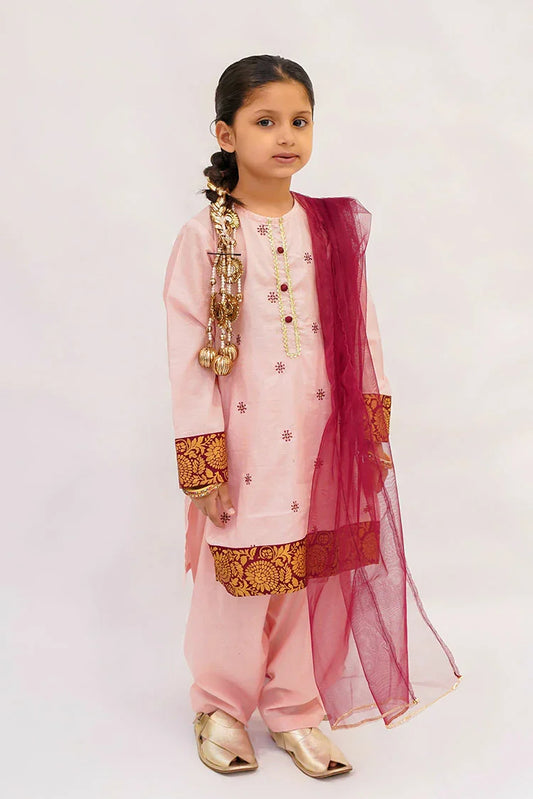 Picture of Abar - Spring Collection - 2 Piece - Blushing beauty - Available at Raja Sahib