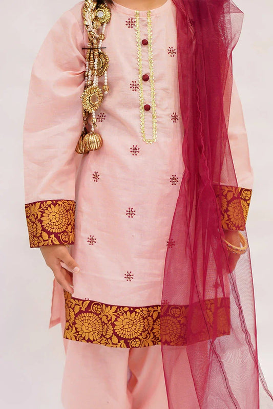 Picture of Abar - Spring Collection - 2 Piece - Blushing beauty - Available at Raja Sahib
