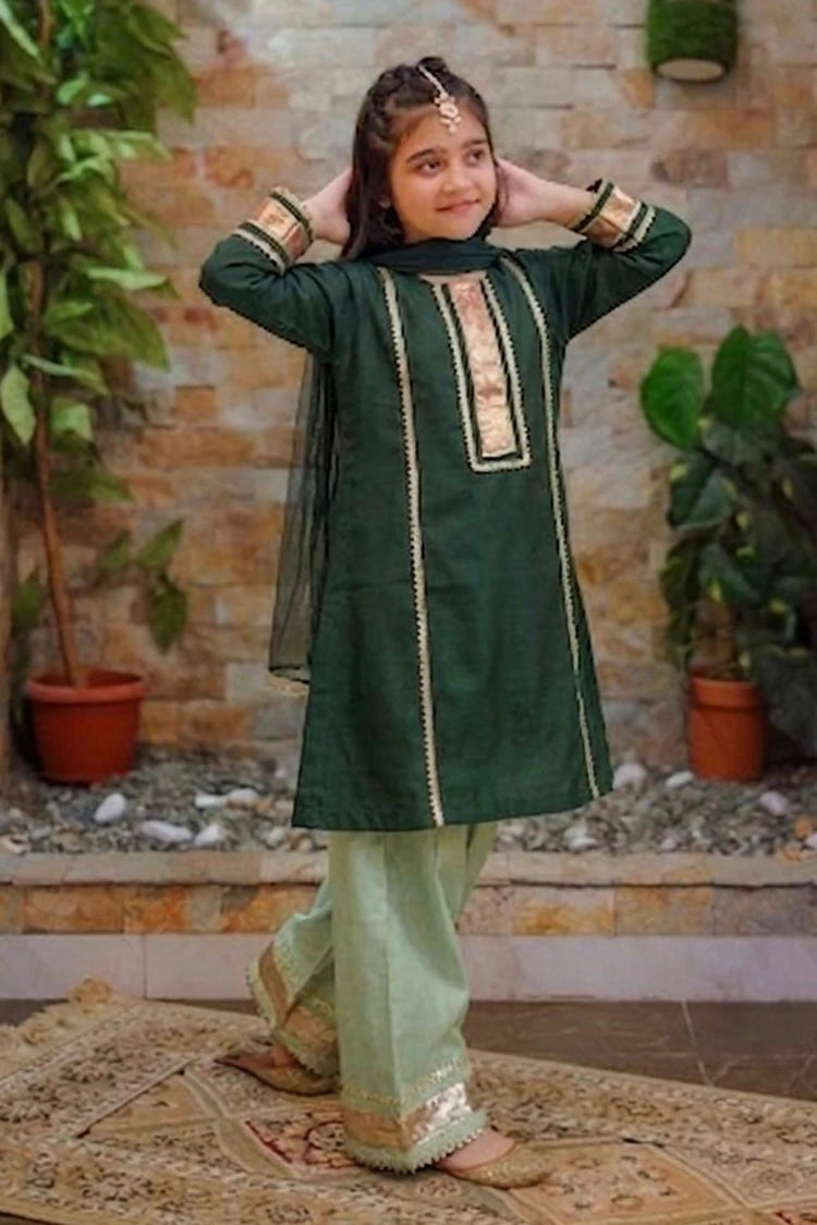 Picture of Abar - Dhanak Rung Collection - Green Shine - Available at Raja Sahib