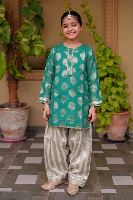 Picture of Abar - Dhanak Rung Collection - Emerald Grey - Available at Raja Sahib