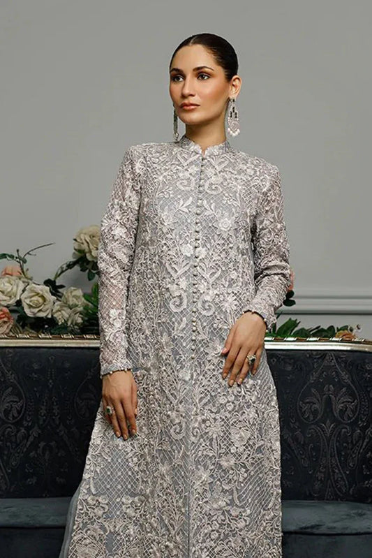 Picture of Threads & Motifs - Net Embroidered Dress - 5532.2 - Available at Raja Sahib