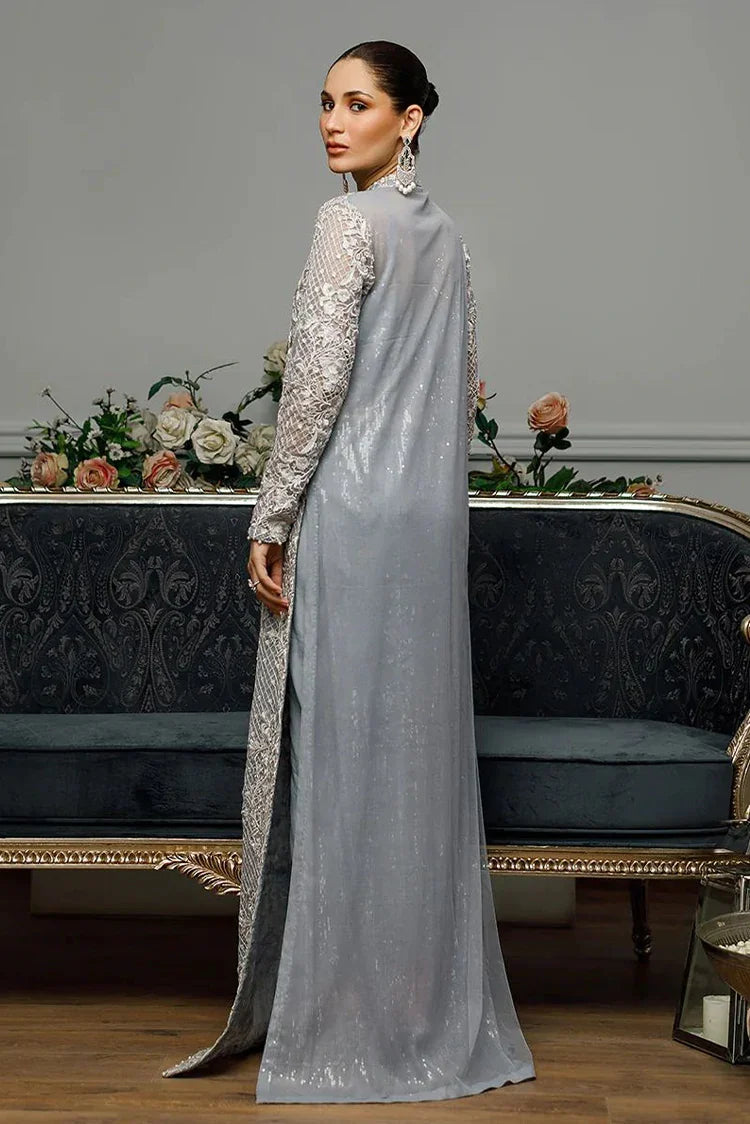 Picture of Threads & Motifs - Net Embroidered Dress - 5532.2 - Available at Raja Sahib