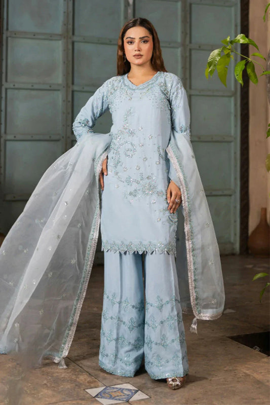 Ruby Suleiman - Luxury Raw Silk Chapter 1 - 3 PCS Ladies Suit - Pret