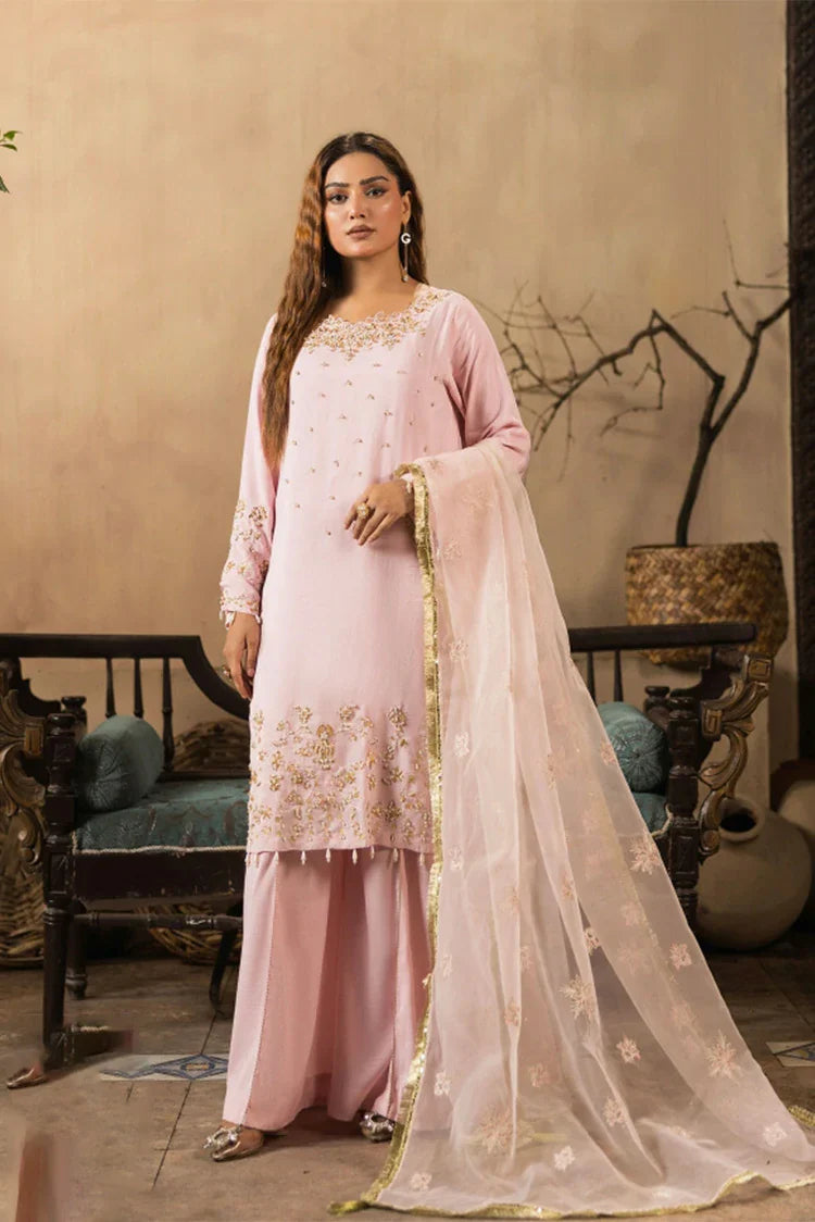 Ruby Suleiman - Luxury Raw Silk Chapter 1 - 3 PCS Ladies Suit - Pret