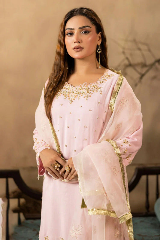 Ruby Suleiman - Luxury Raw Silk Chapter 1 - 3 PCS Ladies Suit - Pret