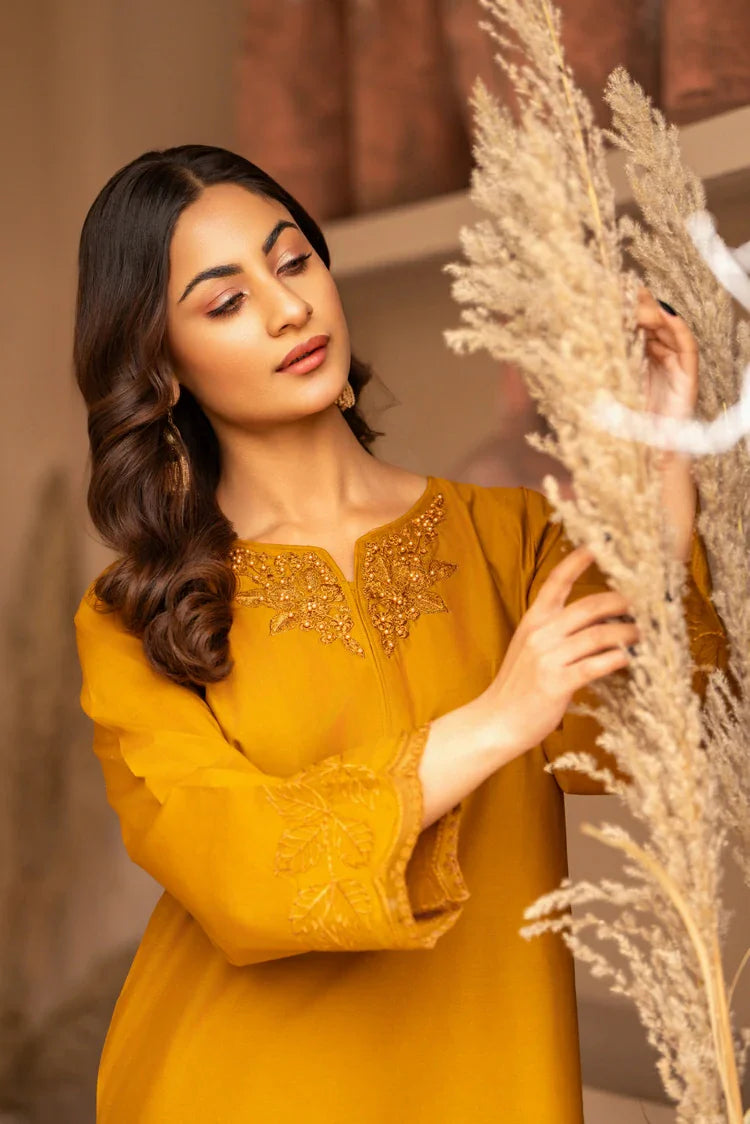 Picture of Ellena - 2-PC Stitched Embroidered Suit - Available at Raja Sahib