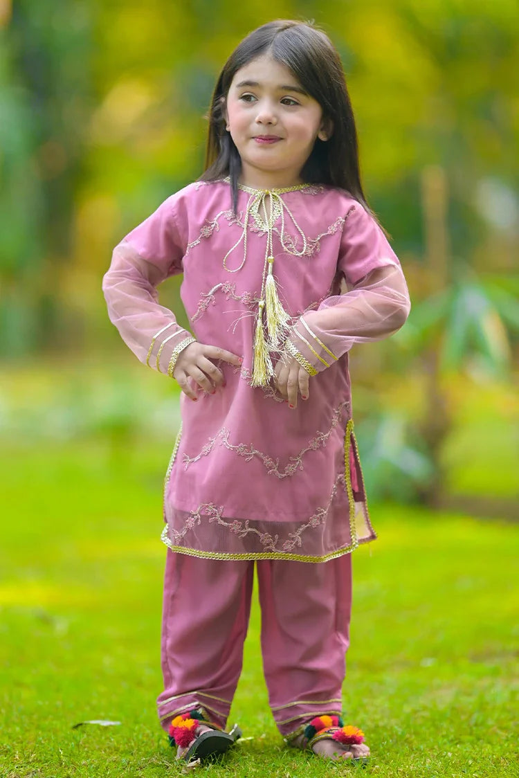 Picture of Modest - Noor - 8685 - Available at Raja Sahib