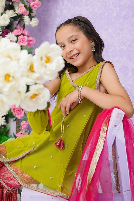 Picture of Modest - Sitara - 8845 - Available at Raja Sahib