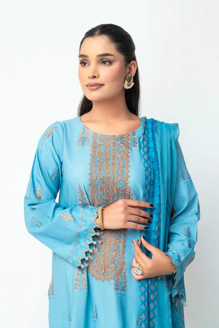 Picture of Ambers Eliana - Ava Winter Karandi Collection - AEKC-UF-10 - Available at Raja Sahib