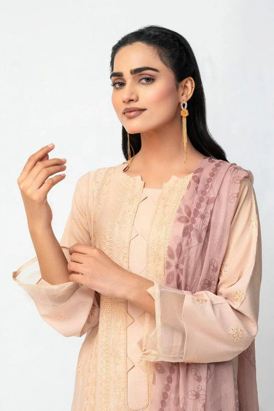 Picture of Ambers Eliana - Ava Winter Karandi Collection - AEKC-UF-12 - Available at Raja Sahib