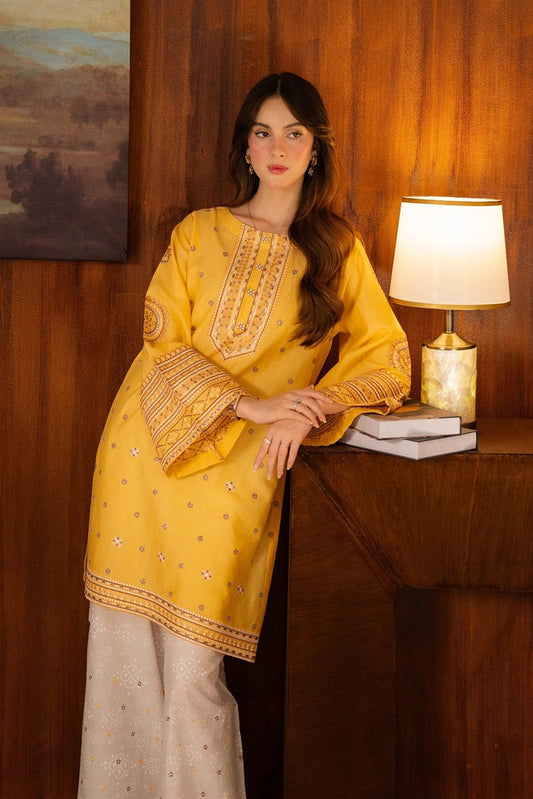 Picture of Amani - Ayaane Co-Ords - Mehranee - AY-1092 - Available at Raja Sahib