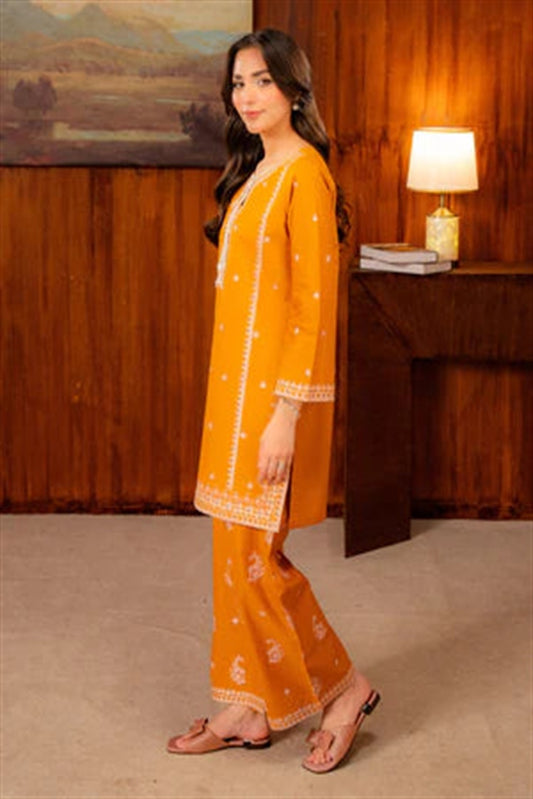 Picture of Amani - Zarqash Co-Ords - Velora - ZA-1102 - Available at Raja Sahib
