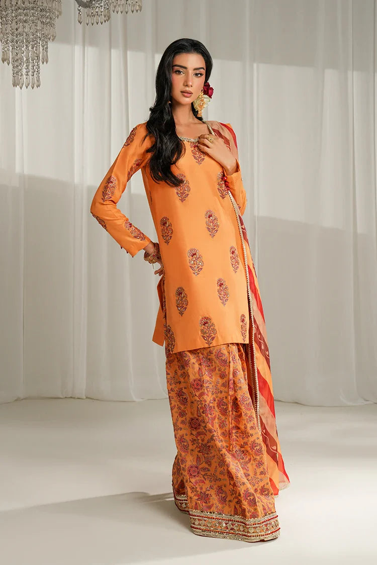Picture of Amber Imran - The Luxe Soiree - Amber Haze - Available at Raja Sahib
