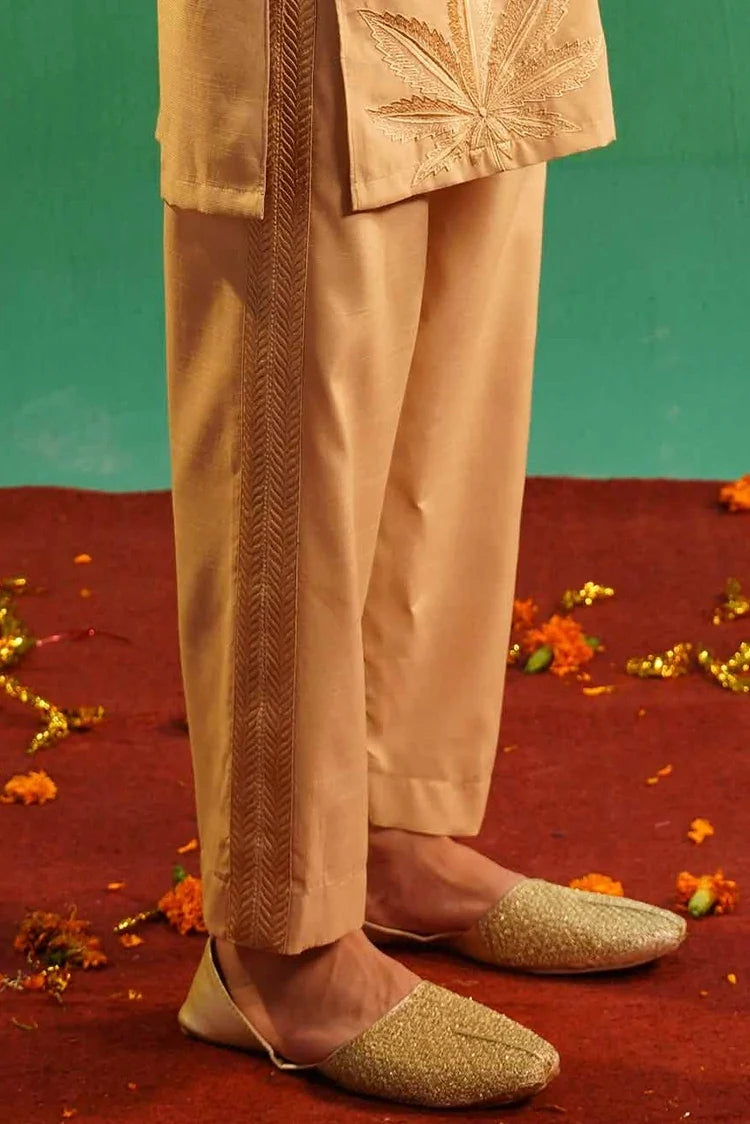 Picture of Ahmad Raza - The Wedding Affair Vol 3 - AR9054 - Available at Raja Sahib