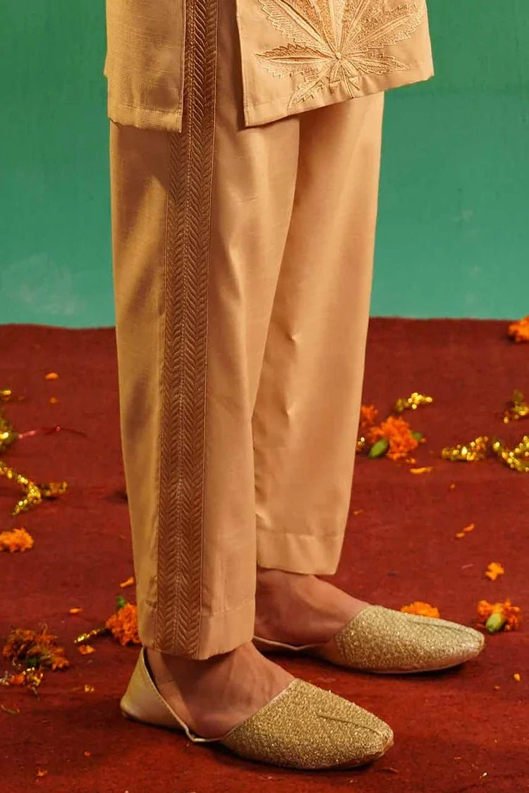 Picture of Ahmad Raza - The Wedding Affair Vol 3 - AR9055 - Available at Raja Sahib