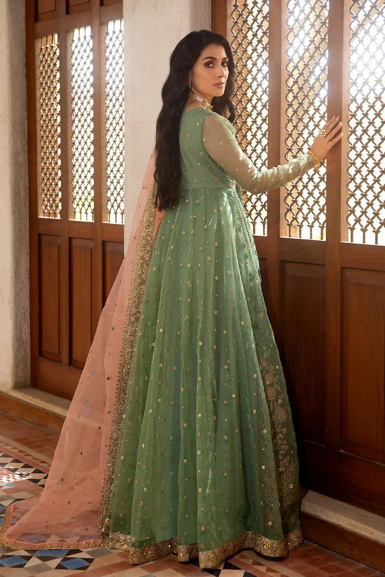 Picture of Asma & Sidra - The Royal Chapter - Angelina - Available at Raja Sahib